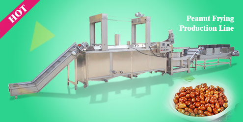 Peanut Frying Production Line 