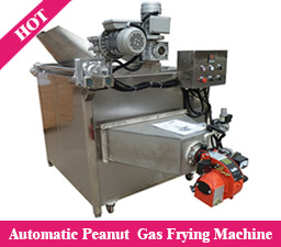 Automatic Peanut  Gas Frying Machine