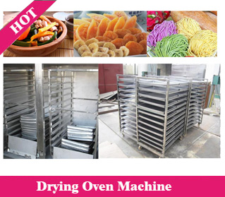 Drying Oven Machine