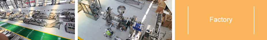 food processing machinery south africa