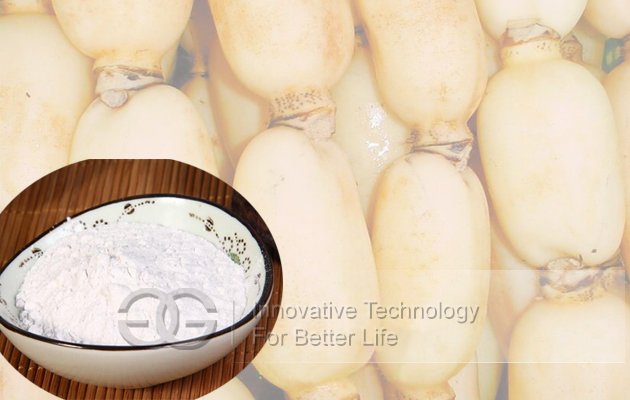 Lotus Root Starch|Pueraria Starch Machine