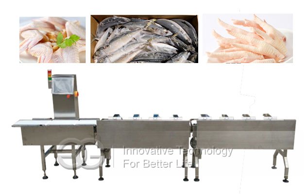 Automatic Fish Sorting Grader Machine by Weight