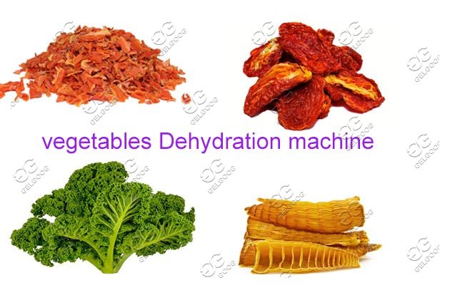 vegetables dehydration machine