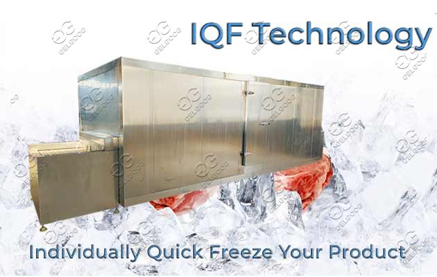 Industrial IQF Machine For Fruits & Vegetables