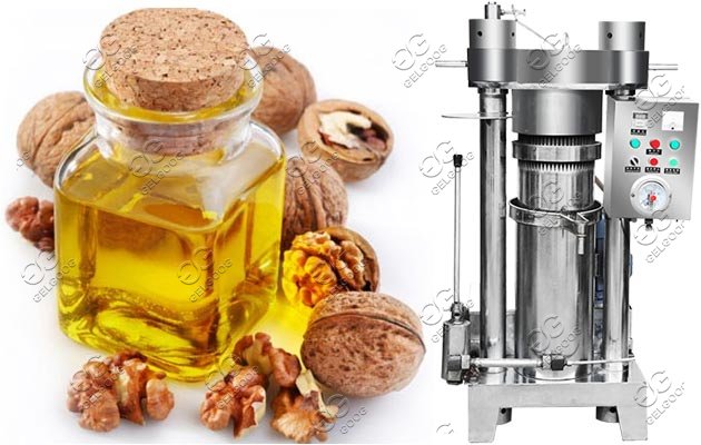 Vertical Hydraulic Oil Press|Cocoa Oil Extractor Machine