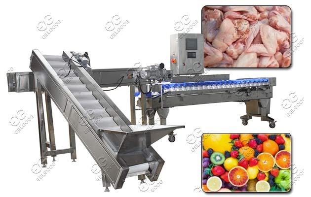 Multi-purpose Fruit Weight Sorting Machine|Mango Melon Grading Line