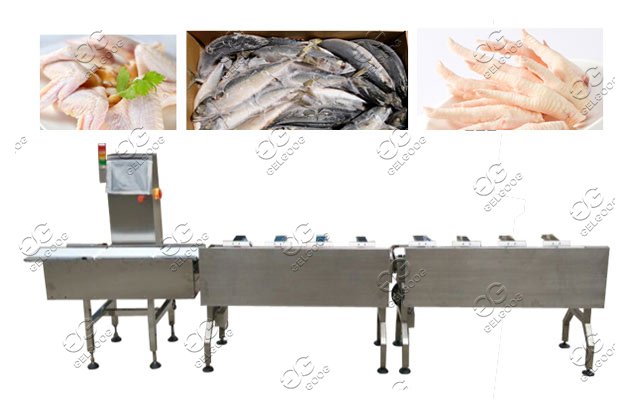 Automatic Fish Sorting Grader Machine by Weight