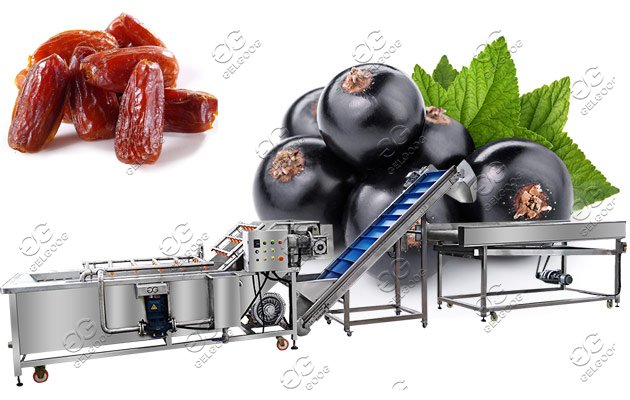 Automatic Dates Jujube Washing Drying Line Factory Price