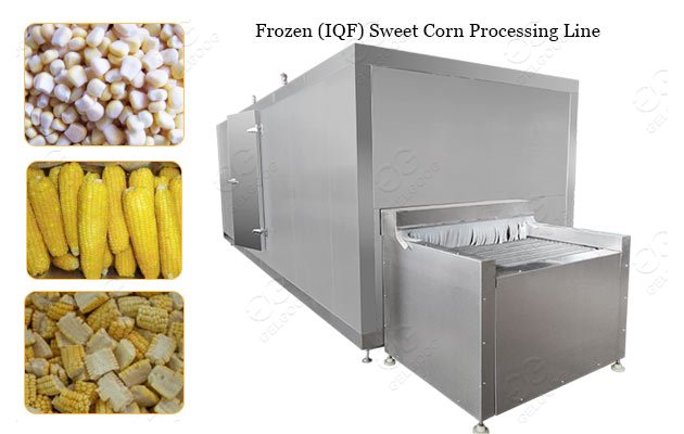 Frozen Sweet Corn IQF Processing Machine Plant