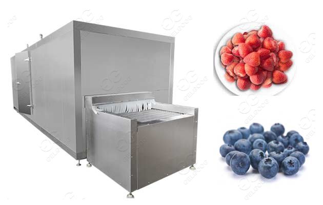 IQF Processing Line For Frozen Strawberry Supplier