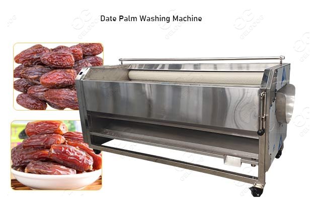 Palm Date Washing Cleaning Machine