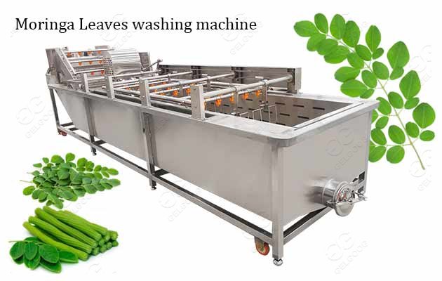 <strong>Industrial Moringa Leaves Washing Machine</strong>