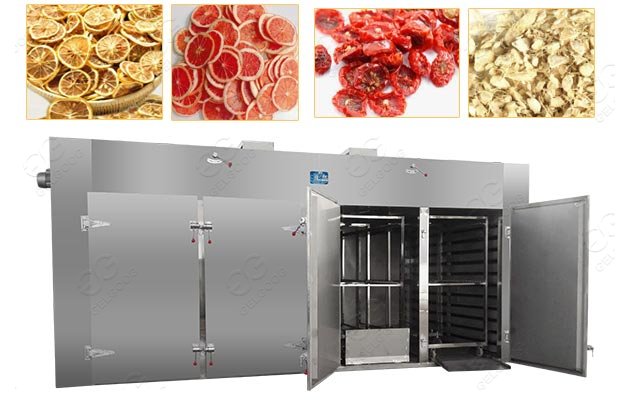 Dried Lemon Fruit Chips Processing Machine Supplier