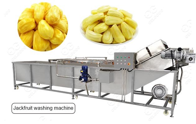 Jackfruit Sanitize Bubble Washing Drying Machine Supplier