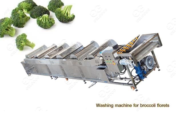 Vegetable Broccoli Florets Washing Machine For Industrial Use