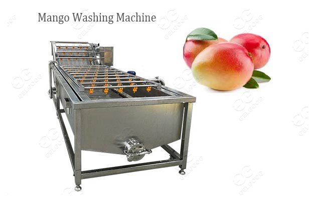 Industrial Mango Fruit Washing Machine Cost