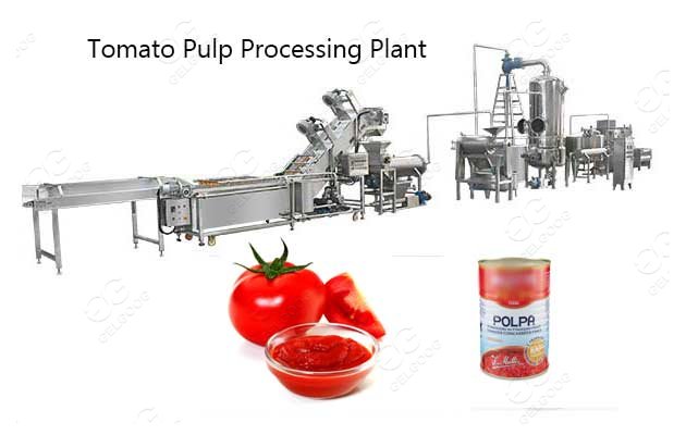 Tomato Puree Processing Plant Tomato Processing Solution Supplier