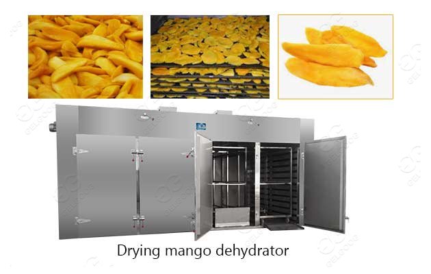 <strong>Industrial Mango Banana Fruit Dehydrated Dryer Machine</strong>