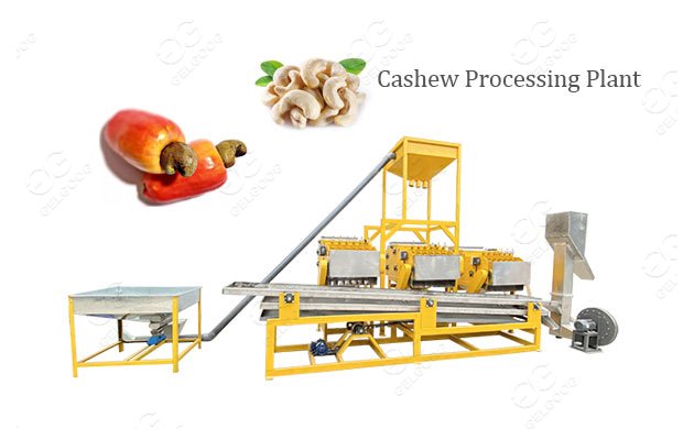 Advanced Cashew Shelling Processing Machine Line Price