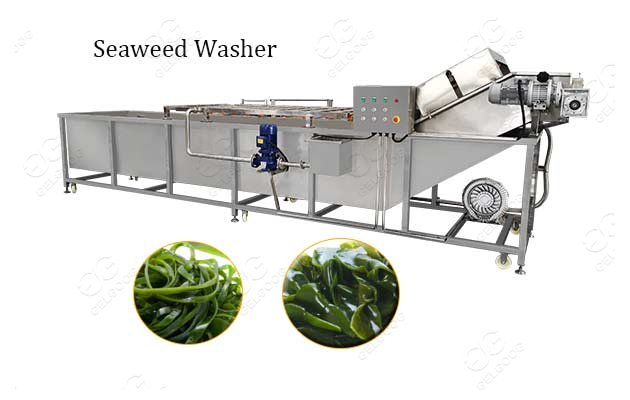 Bubble Type Seaweed Washing Cleaning Machine Supplier