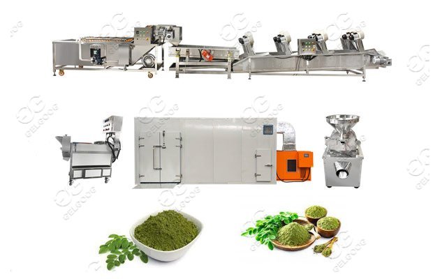 Moringa Leaf Powder Processing Solution For Kuwaiti Customer