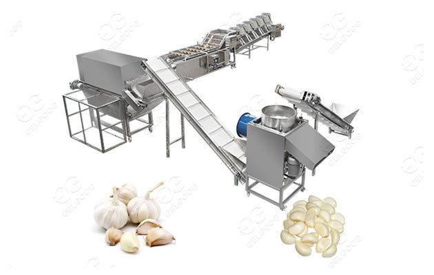 GELGOOG Assists HANKS Company to Upgrade Garlic Processing Solution