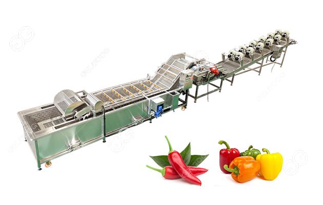 Industrial Pepper Chili Washing Machine Factory