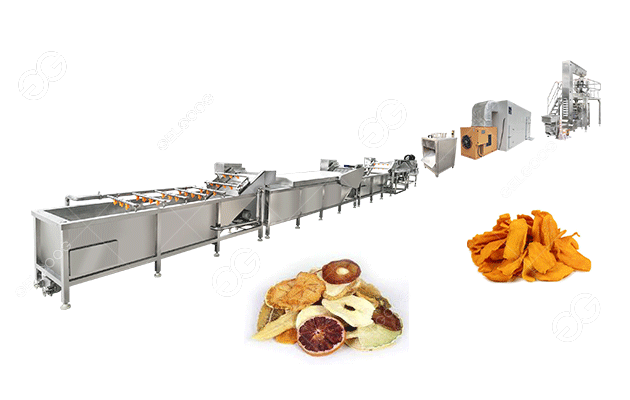 Dried Fruit Production Line Solution-Gelgoog Machinery