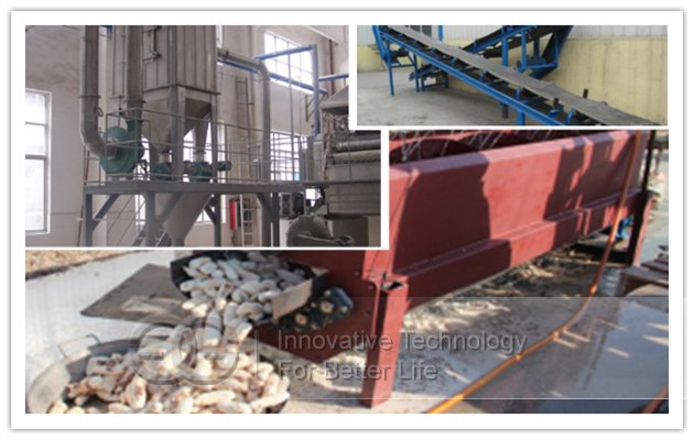 Cassava|Tapioca Flour Production Plant