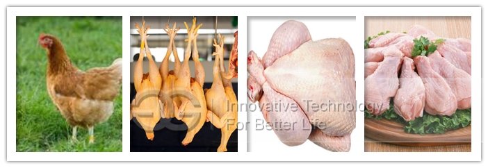 chicken abattoir equipment