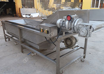 vegetable washing equipment