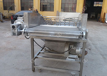 commercial fruit washing equipment