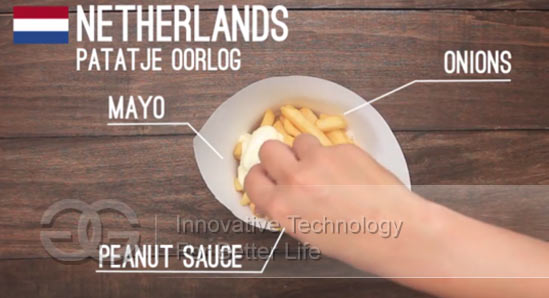 french fries in Netherlands