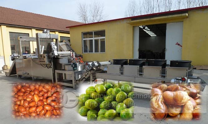 industrial groundnut frying line price