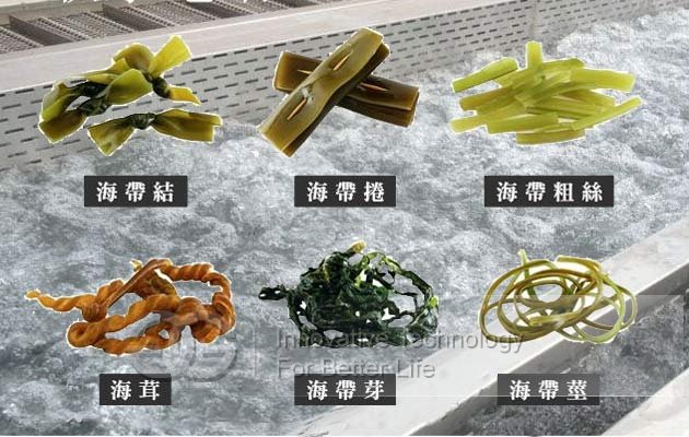 bubble type seaweed washing machine