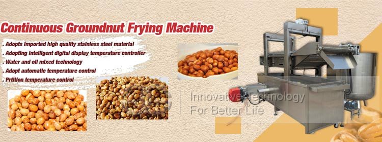 groundnut fryer machine