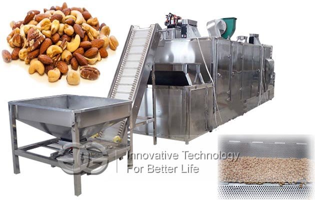 industrial nuts roasting line