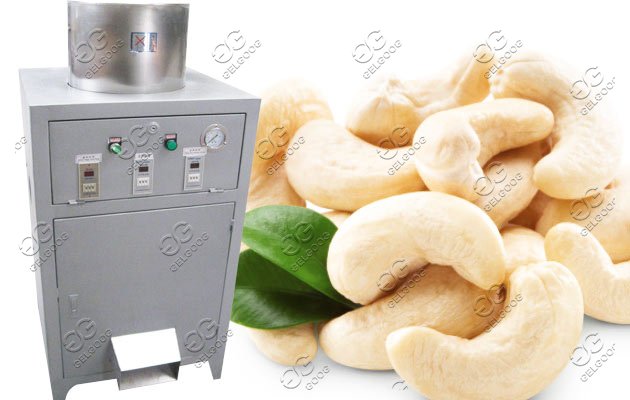 cashew nut peeler price