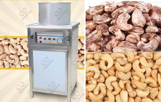 cashew nut skin removing machine supplier