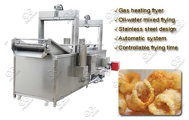 continuous pork skin fryer