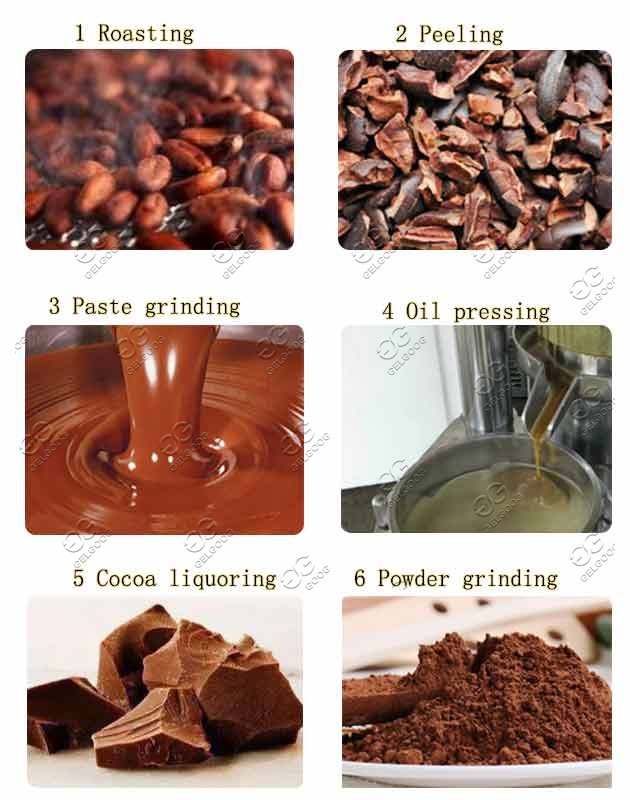 cocoa processing machine