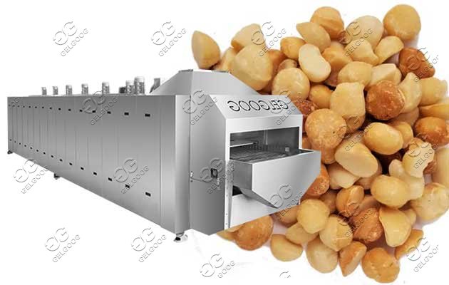 nut roaster machine line