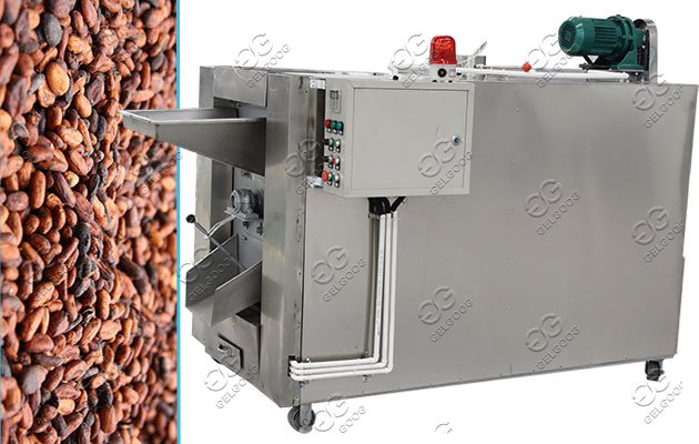 cacao roasting machine capacity