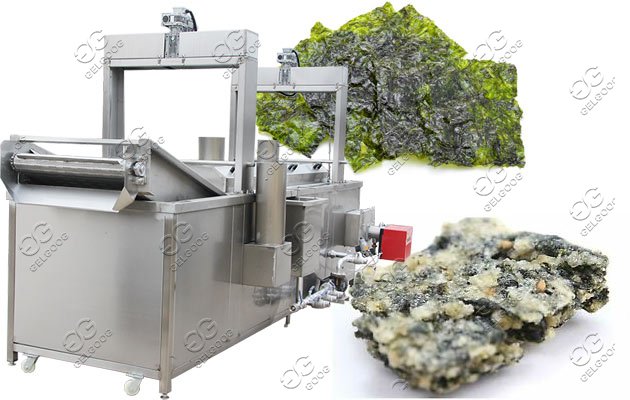 continuous seaweed fryer machine