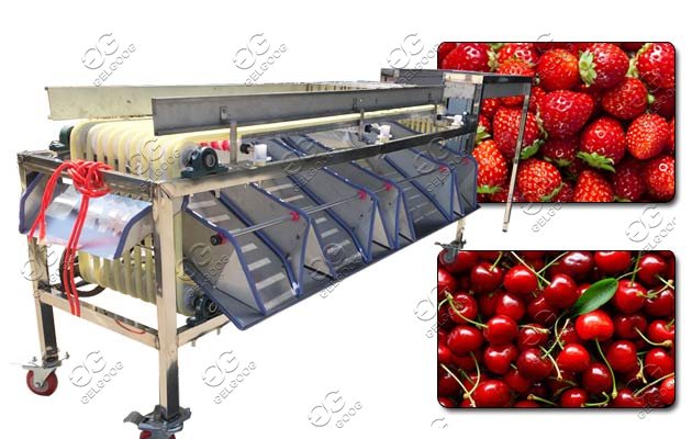 small size fruit sorting machine