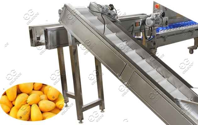 mango sorting line price