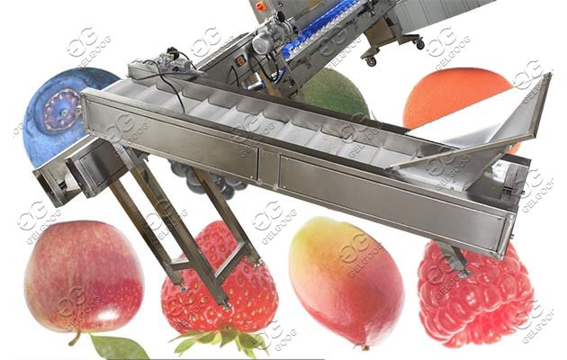 fruit grading machine for sale