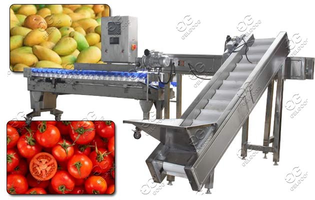 mango weighing sorting machine