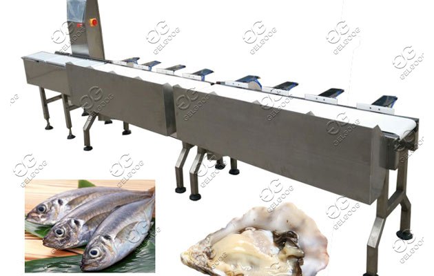 automatic fish sorting machine