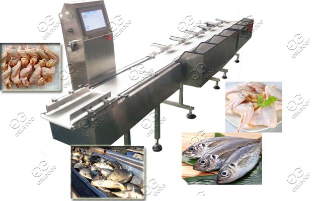 fish grading machine for sale